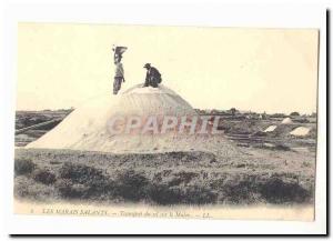 The salt marshes Postcard Old Salt Transportation on Mulon