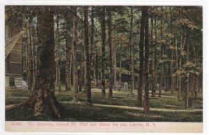 The Grounds Walnut Mountain Liberty New York 1919 postcard