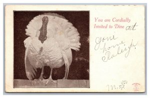 1906 Postcard Invitation To Dine Thanksgiving Turkey pc2081