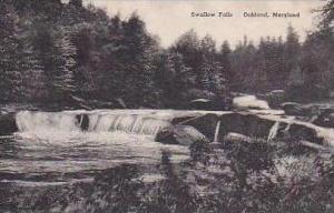 Maryland Oakland Swallow Falls Albertype