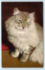 BEAUTIFUL CAT POSTCARD  c1940s  Edition Stehli- #90 Printed in Switzerland