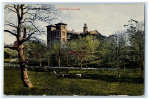 c1910 Scene of Animals Auckland Hospital Auckland New Zealand Antique Postcard