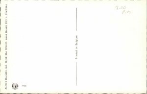 Fantasy Dressed Animals Cats Wedding Camera Chapel Mainzer Vintage Postcard