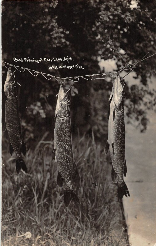 G24/ Carp Lake Michigan RPPC Postcard 1929 Good Fishing Catch