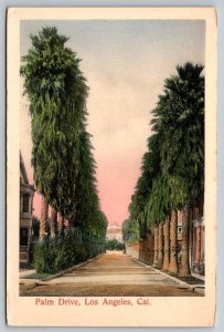 Hand Colored  Palm Drive  Los Angeles  California   Postcard