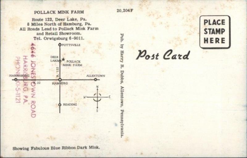 Deer Lake PA Pollack Mink Farm Old Postcard