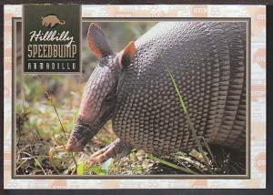 Hillbilly Speedbump Armadillo Postcard BIN 1235