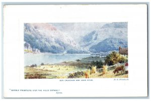 c1910 Ross Castle Killarney Plate-Marked Oilette Tuck Art Unposted Postcard 