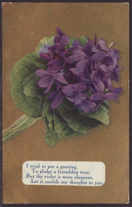 Friendship,Flowers Postcard