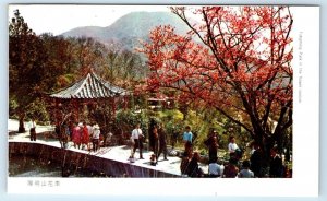 Yangming Park in the flower season TAIPAI Taiwan Postcard