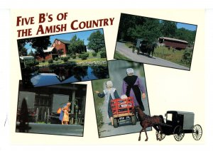 PA - Amish Country. Five B's of the Amish  (continental size)