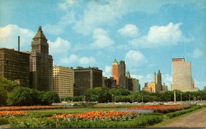 Illinois Chicago Skyline View Of Michigan Avenue Looking North