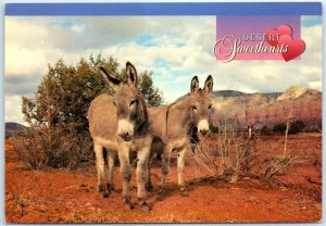 Postcard - Desert Sweethearts