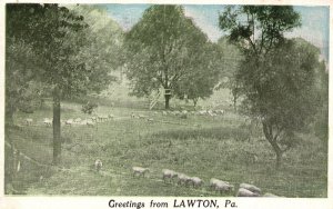 Vintage Postcard 1923 Greetings From Lawton Pennsylvania General Scenes