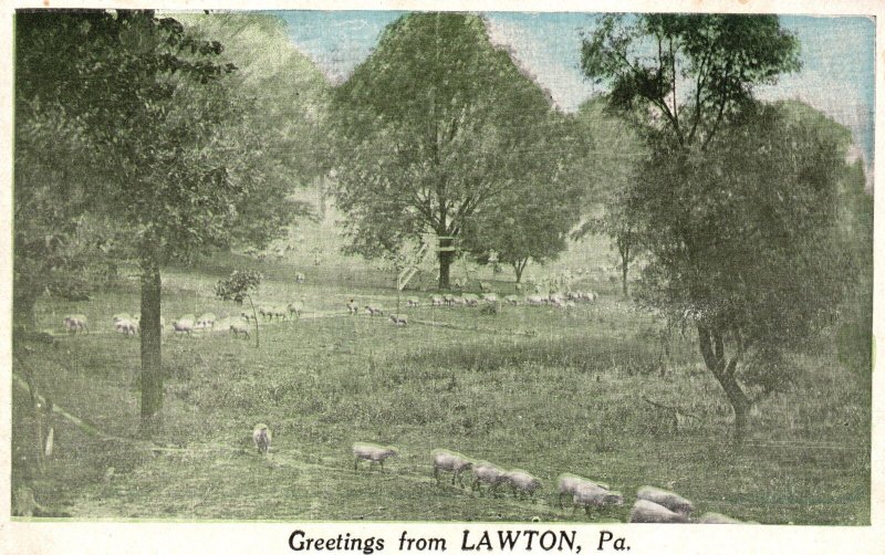 Vintage Postcard 1923 Greetings From Lawton Pennsylvania General Scenes