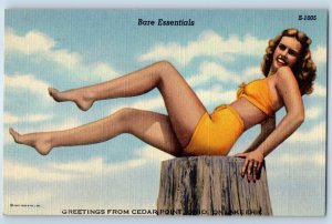 Bare Essentials Pretty Woman Swimsuit Greetings From Cedar Point OH Postcard