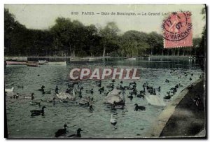 Old Postcard Paris Bois De Boulogne Grand Lake