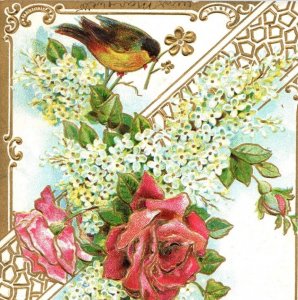 C. 1910 Lovely Bird Flowers Dresden Gilt Embossed Greeting Vintage Postcard F33 