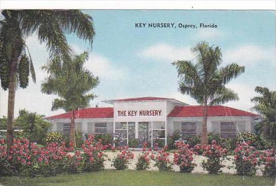 Florida Osprey Key Nursery 1965