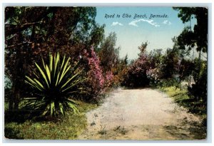 1920 Scene of Road to Elba Beach Bermuda North America Posted Postcard