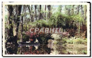 Postcard Old Cypress Gardens Oakley Road South Carolina 52 Twenty four miles ...