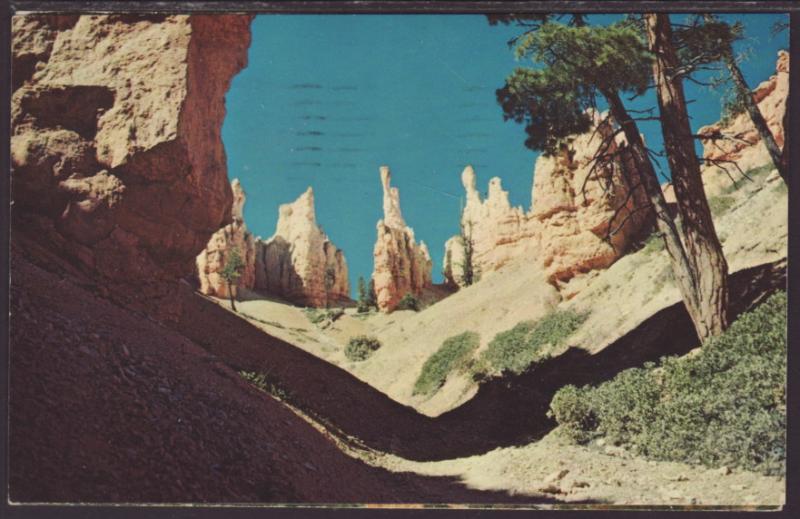 Bryce Point Trail,Bryce Canyon National Park Postcard BIN