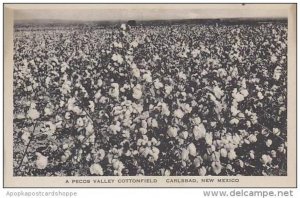 New Mexico Carlsbad A Pecos Valley Cottonfield Albertype