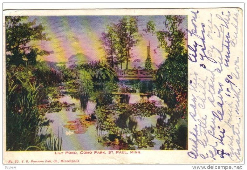 Lily Pond , Como Park , ST. PAUL , Minnesota , PU-1907