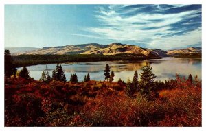 Postcard PANORAMIC SCENE Revelstoke British Columbia BC AP9841
