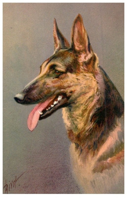 Dog , Alsatlian Wolfhound ,  artist signed