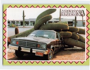 Postcard The saguaro cactus Arizona USA