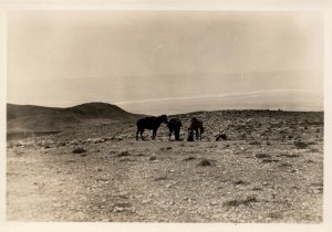 Palestine Israel East of the Jordan Vintage RPPC BS15