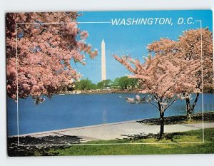 Postcard The Washington Monument, Washington, District of Columbia