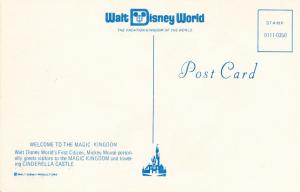 Mickey Mouse at Cinderella Castle - Walt Disney World FL, Florida