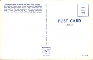 Connecticut, Stamford - Triassic Period Exhibit - [CT-208]