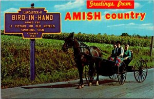 Pennsylvania Amish Country Amish Greetings From Bird-In-Hand Horse & Buggy