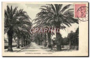 Old Postcard Hyeres Les Palmiers Avenue Godillot