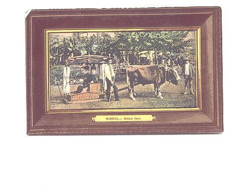 Two Women, Bullock Carr, Oxen, Mardeira Portugal