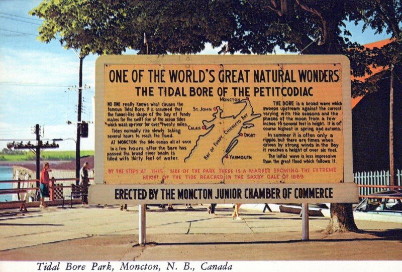 VINTAGE CONTINENTAL SIZE POSTCARD TIDAL BORE PARK OF PETITCODIAC MONCTON N. B.