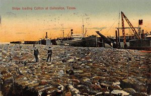 Ships Loading Cotton - Galveston, Texas TX  