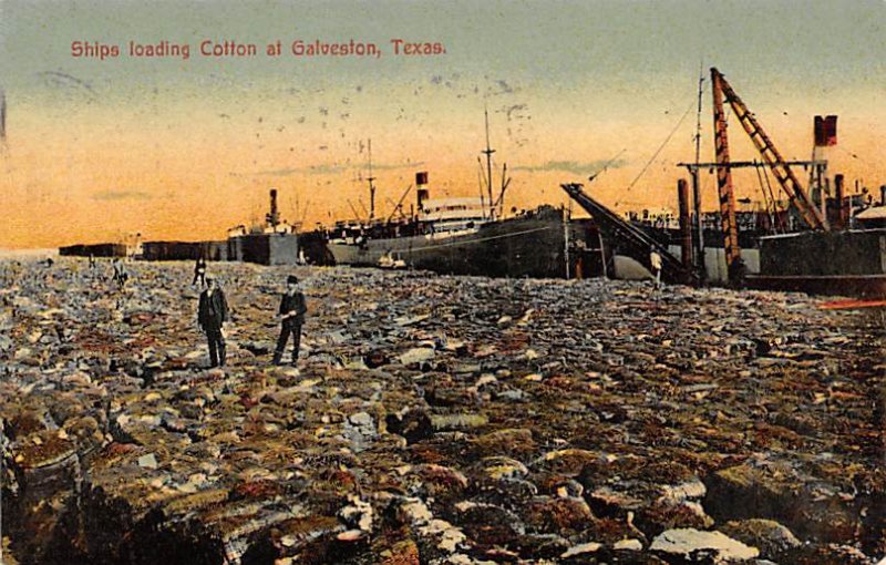 Ships Loading Cotton - Galveston, Texas TX