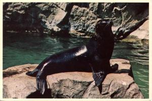 Seal at Washington, DC