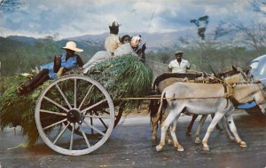 Homeward Bound Jamaica Postal used unknown 