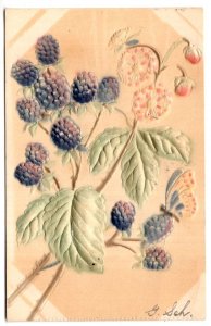 Embossed Blackberries, Butterflies, Eagle on Back, Used 1917