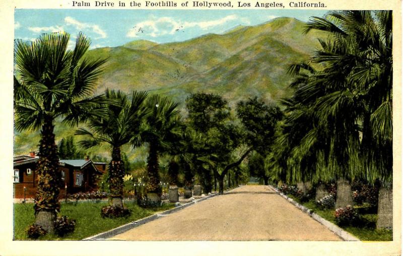 CA - Hollywood. Palm Drive