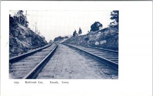 NOANK, CT Connecticut    RAILROAD CUT DEPOT? in Distance   c1900s   Postcard