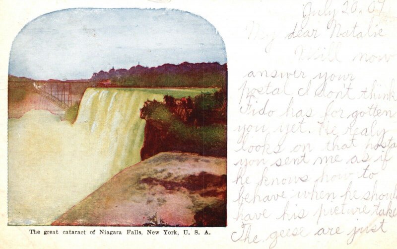 Vintage Postcard 1909 The Great Cataract of Niagara Falls New York  NY