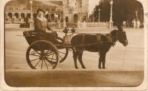 Donkeys. Lady  on her donkey cart Old vintage Spanish photo postcard