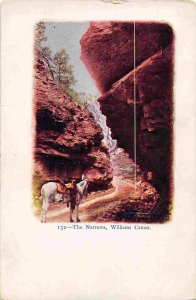 The Narrows Burro Canon Canyon Rocky Mountains Colorado 1905c postcard