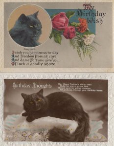 Good Lucky Thoughts 2x Black Cat Birthday Real Photo Postcard s